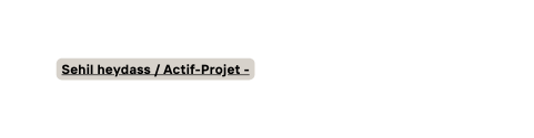 Sehil heydass Actif Projet